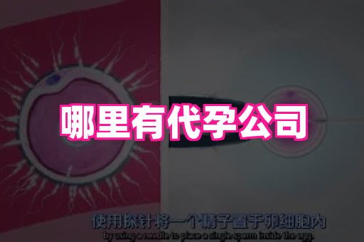 长沙助孕网站 2